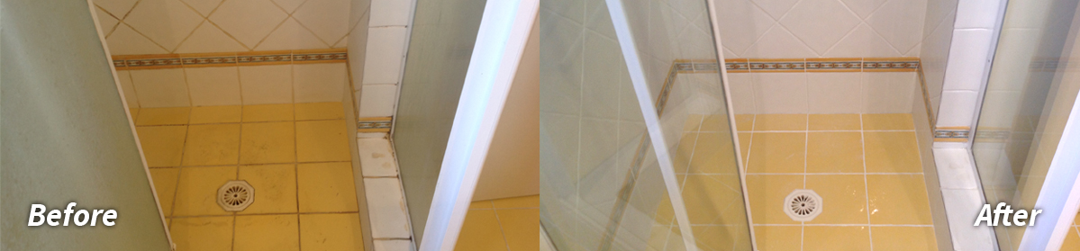 Shower Screen Cleaning and Glass Protection
